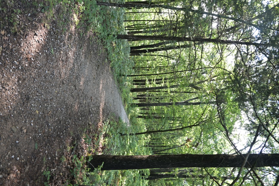 Scenery At Collier Homestead