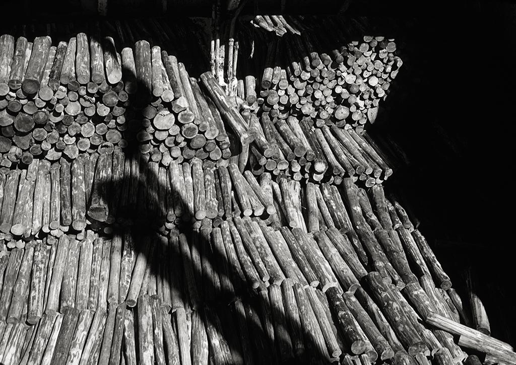 Logs In Ships Hold, Richibucto, NB