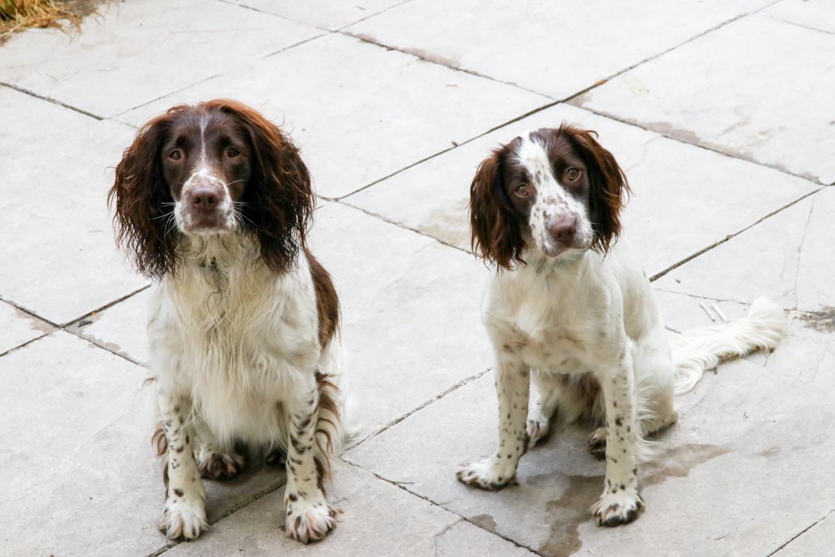 Prue and Bragha