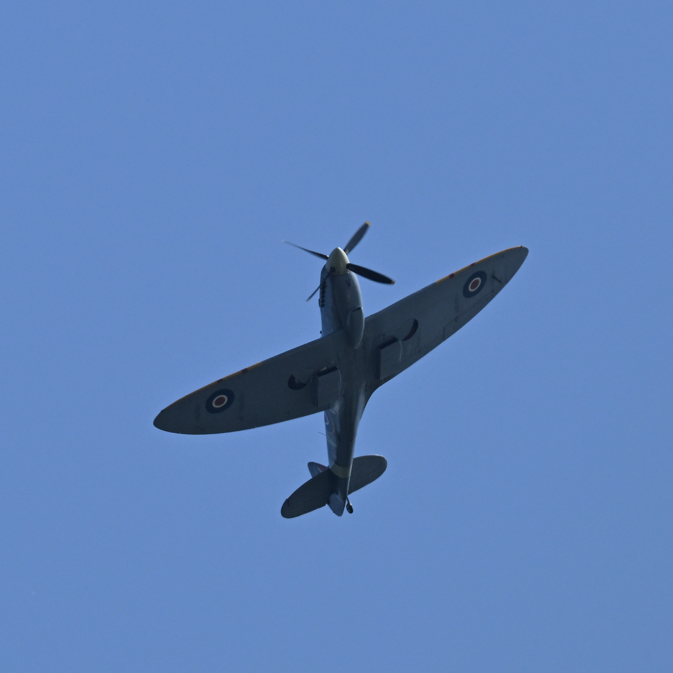 Spitfire
