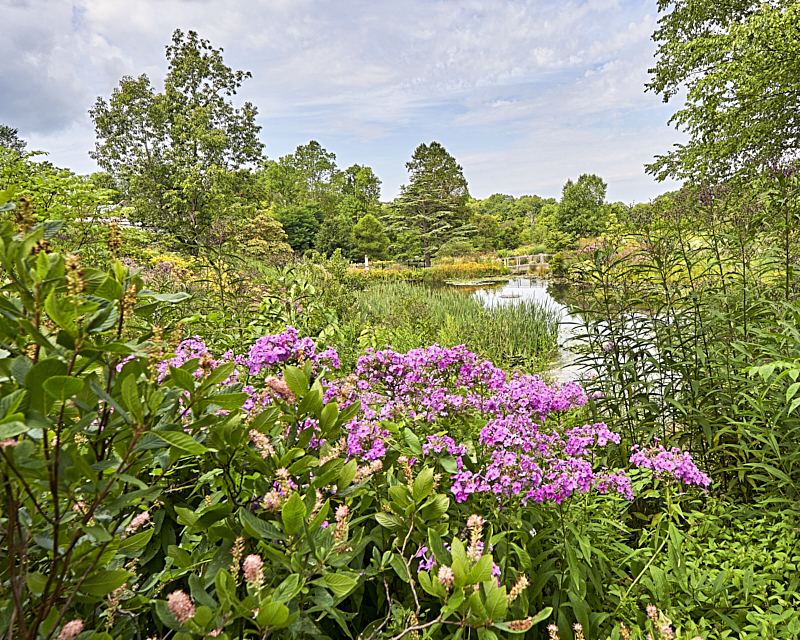 Holden Arboretum
