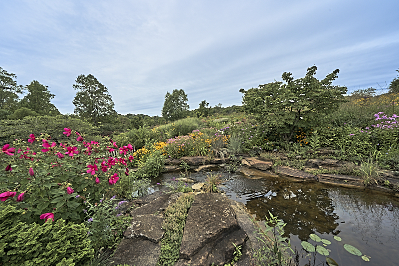 Holden Arboretum