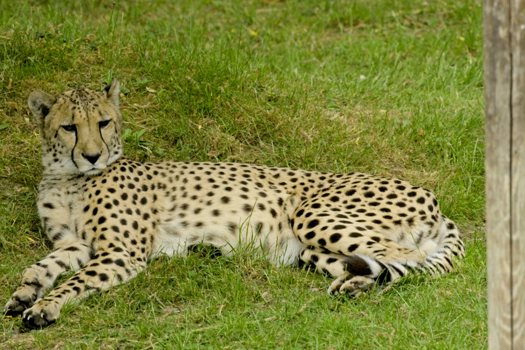DSC_5855 Resize.jpg