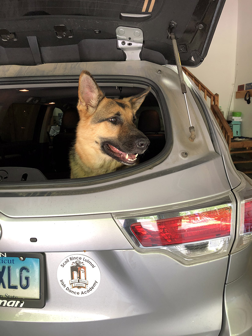 joni-car2.jpg