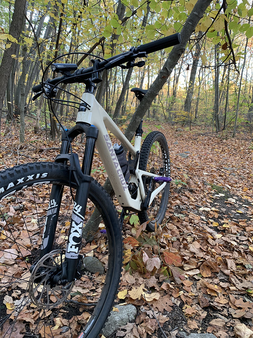 tallboy-nass20.jpg