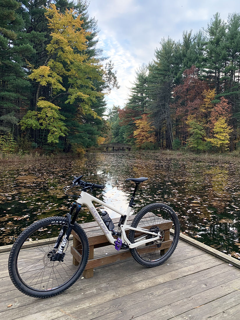 tallboy-wt20.jpg