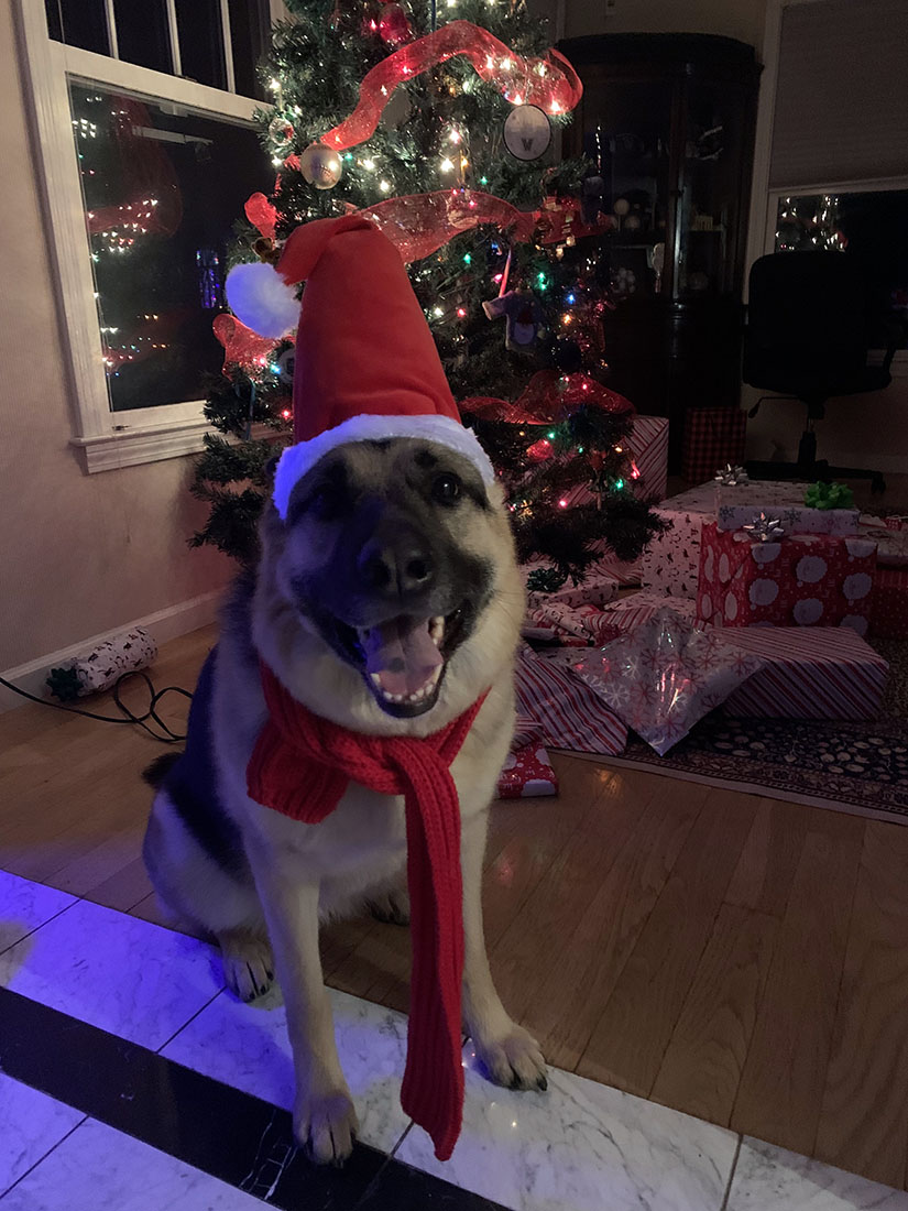 joni-xmaseve22.jpg