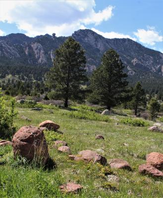 Some of Boulder Creek's Boulders