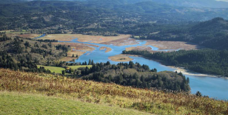 Salmon River Wetland