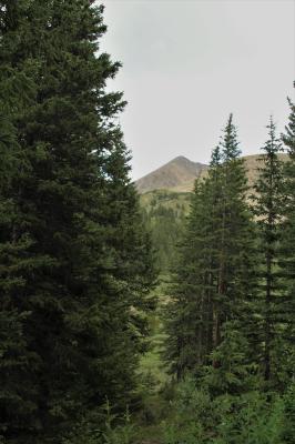 Pacific Peak