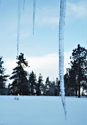 Icicle a Meter Long
