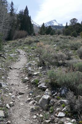 Baker Lake Trail