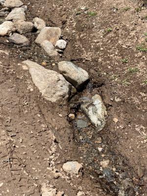 Rivulet and Rocks