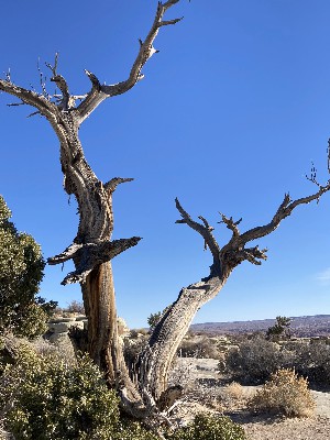 San Rafael Reef, and More