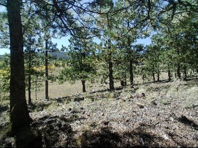 Seasons in Colorado