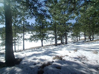 Trout Creek Meadows