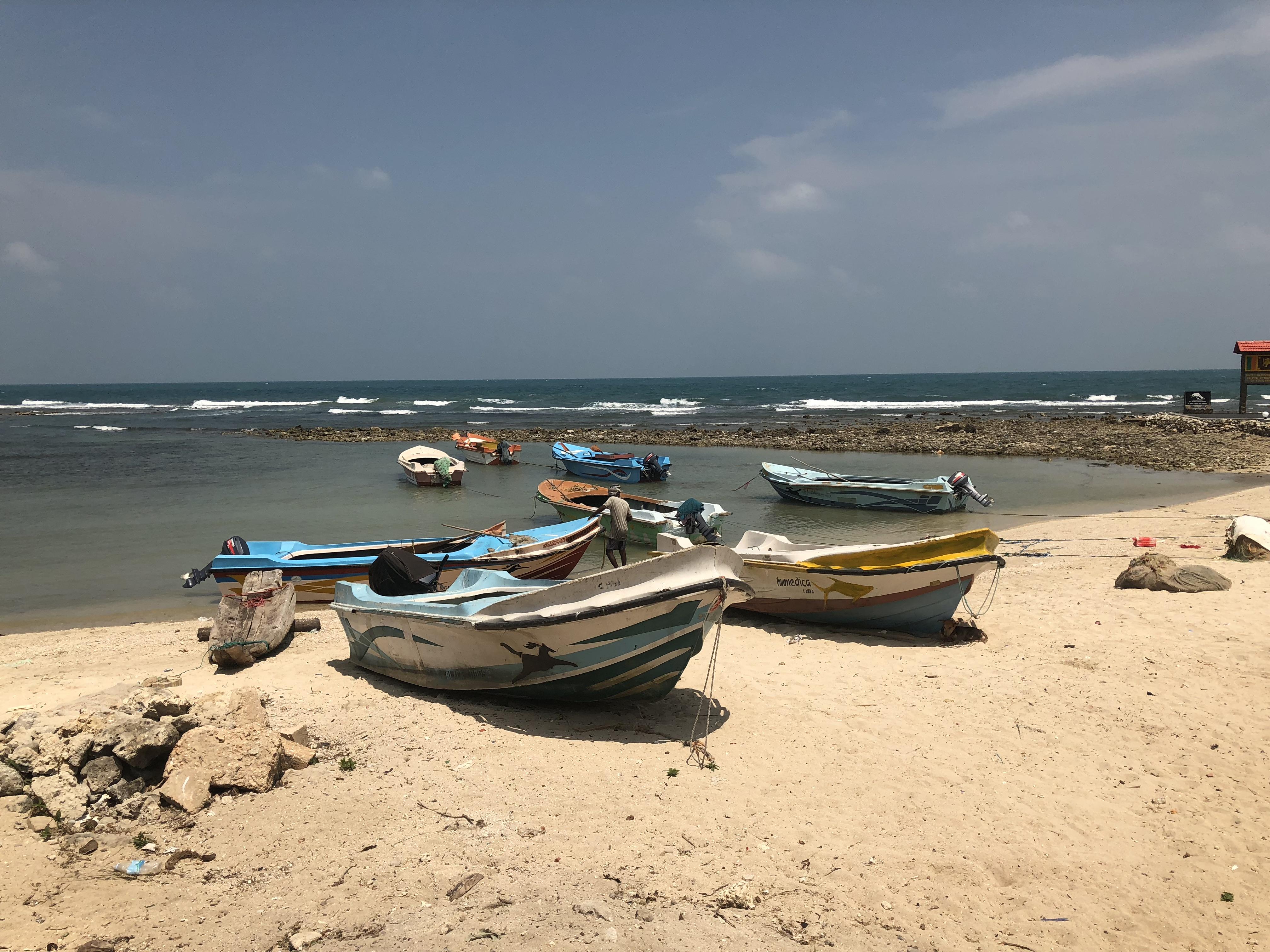 Fishing boats