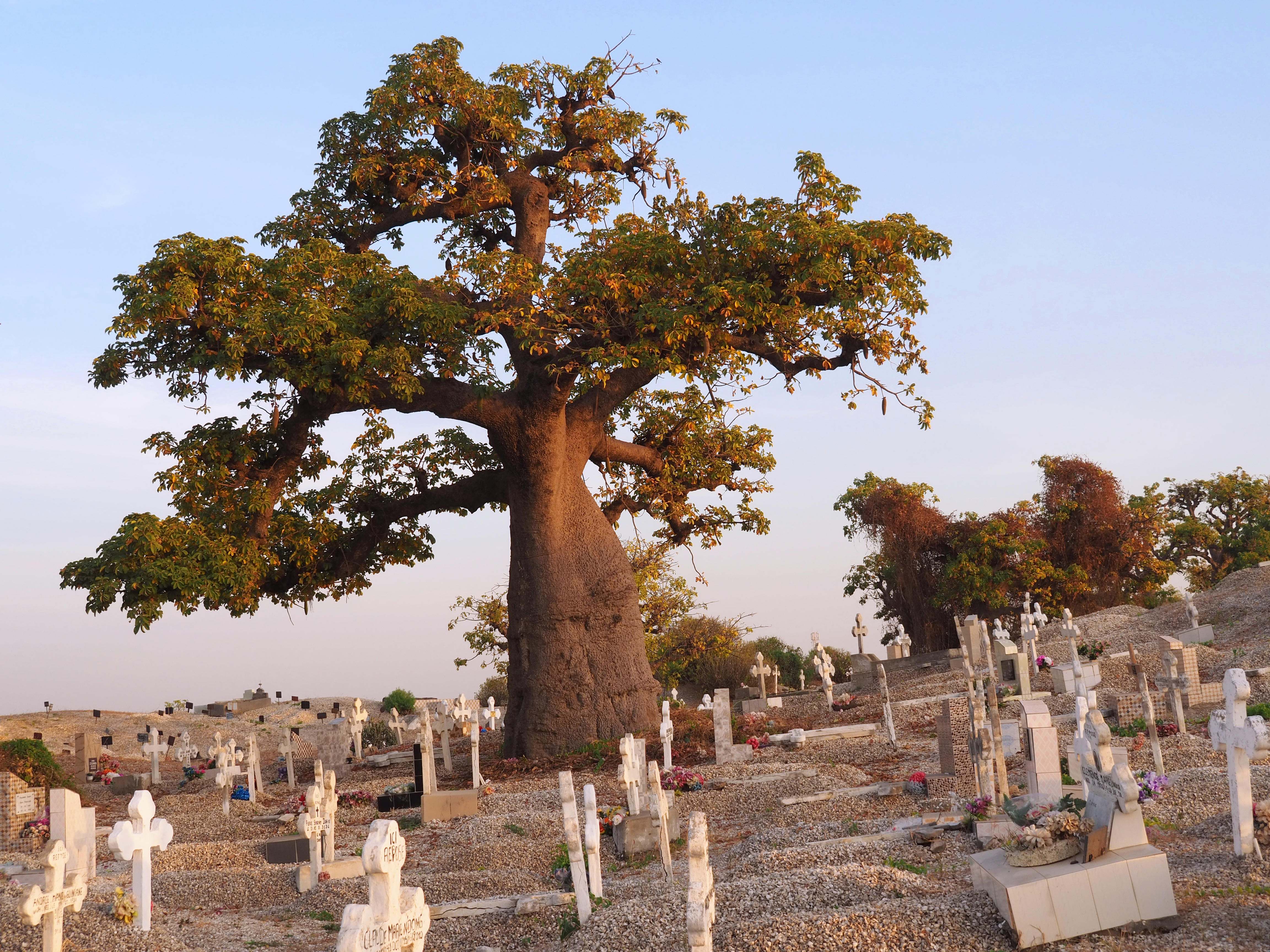 Fadiout Cemetery