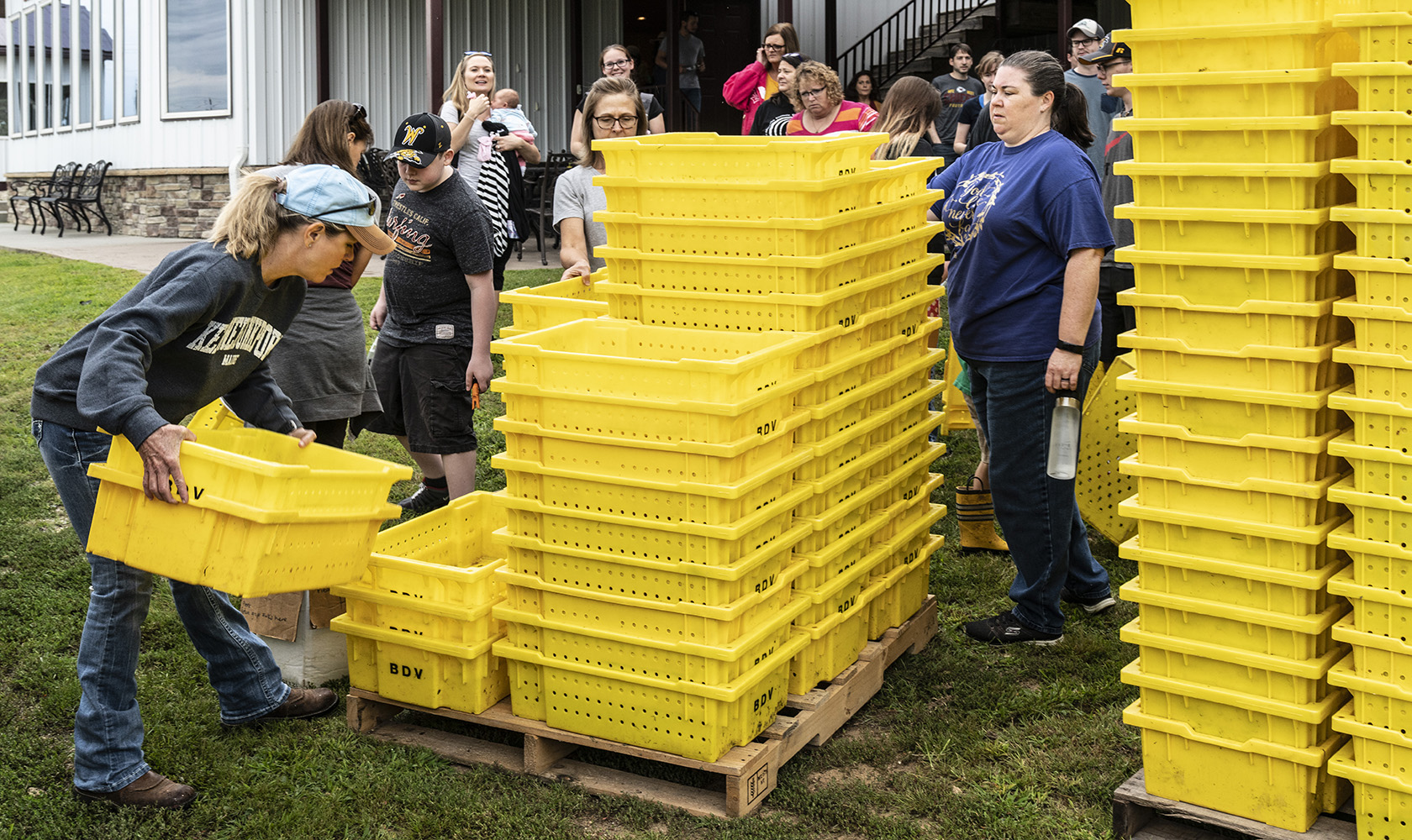 Picking up Grape crates
