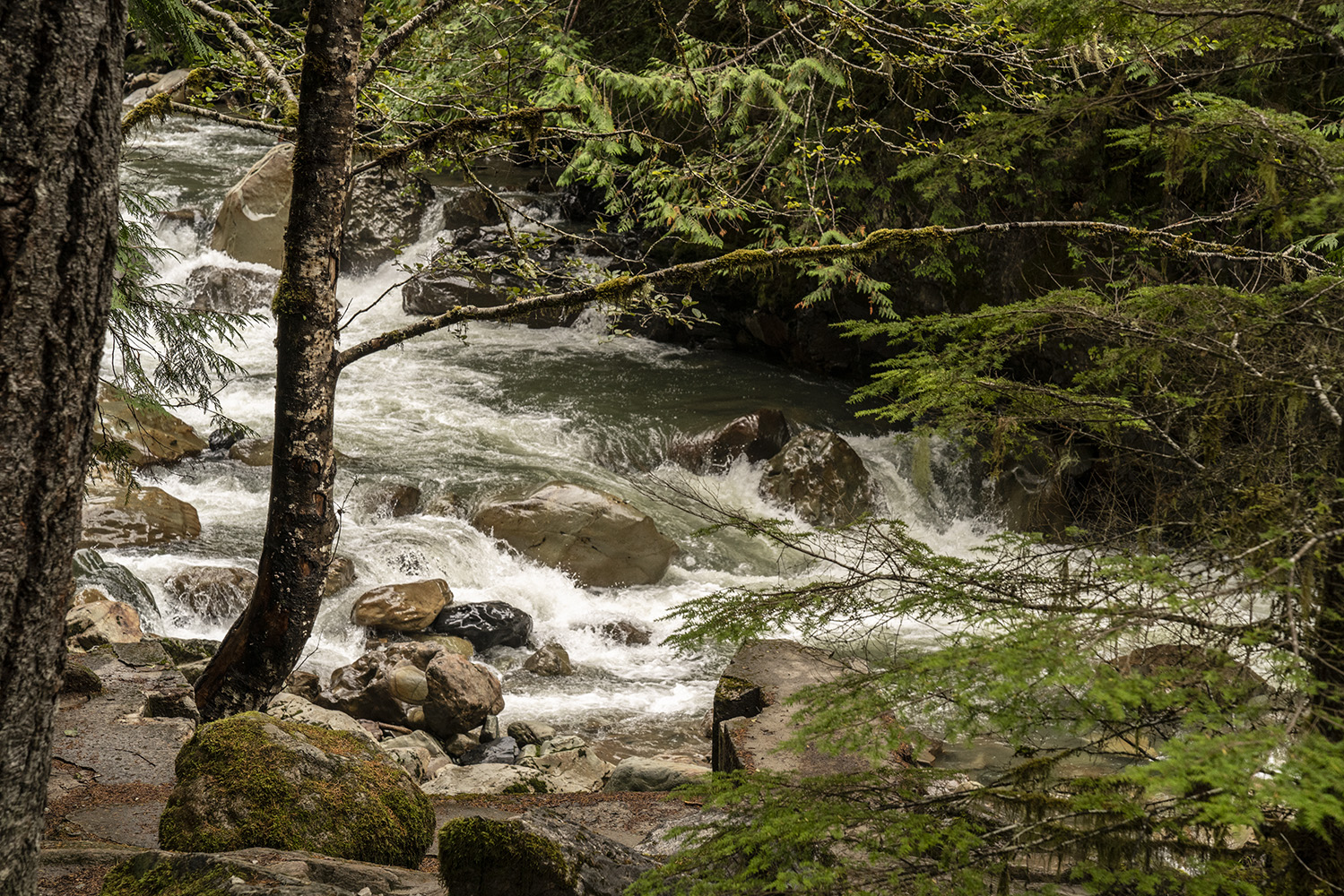 Fast Moving Water, Noonsack Falls