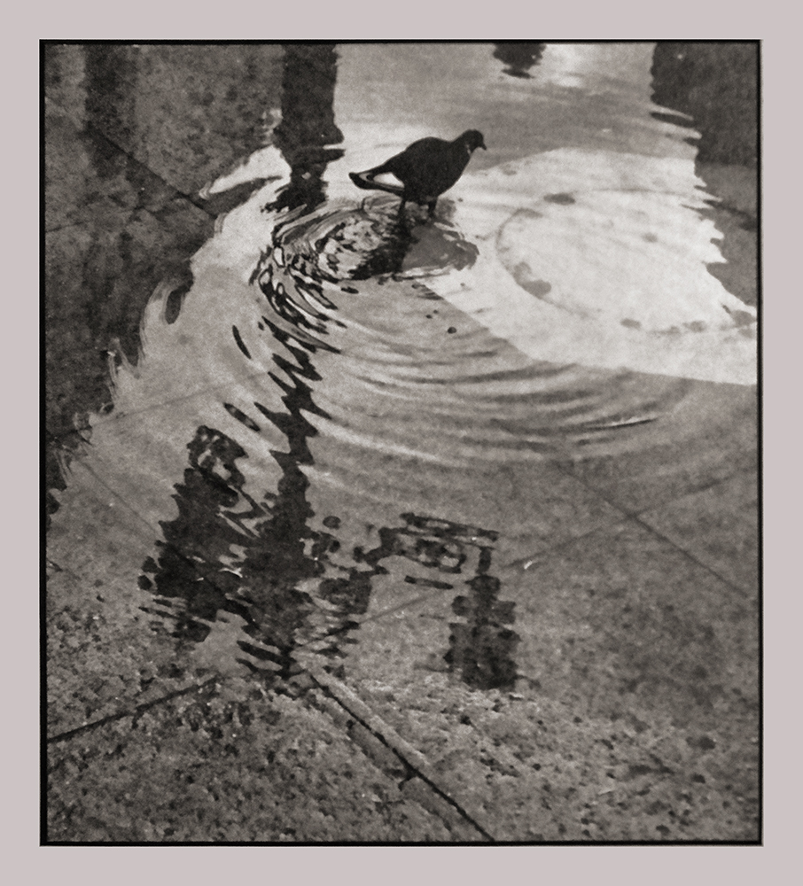 After Rain, St. Marks Square, Venice