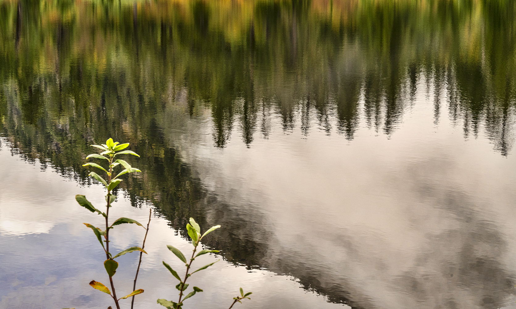 Mountain Reflected