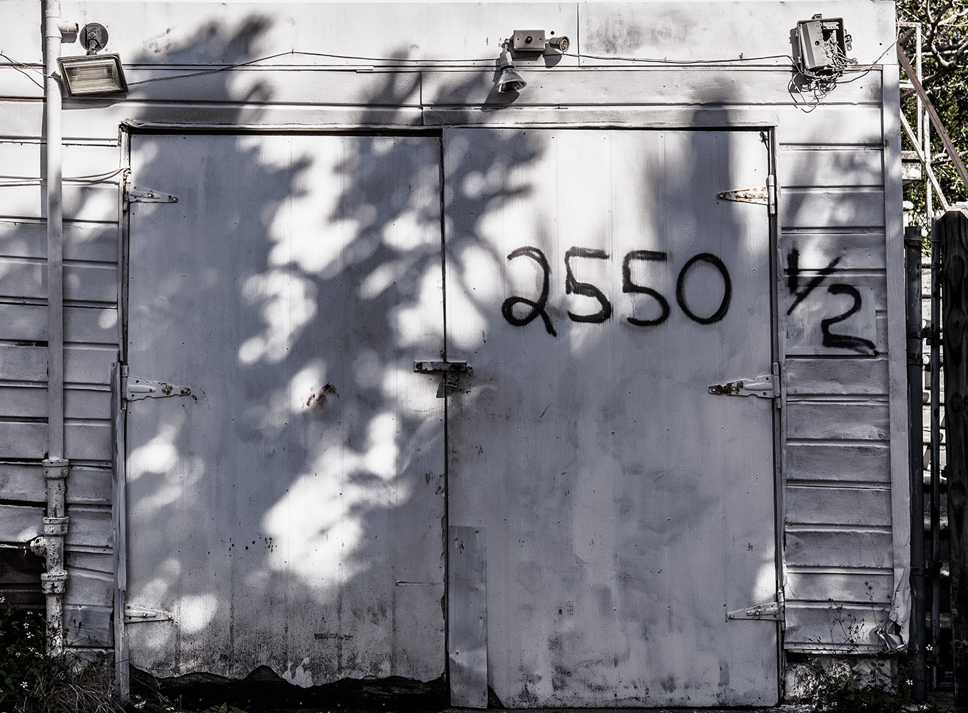 Back Alley Address