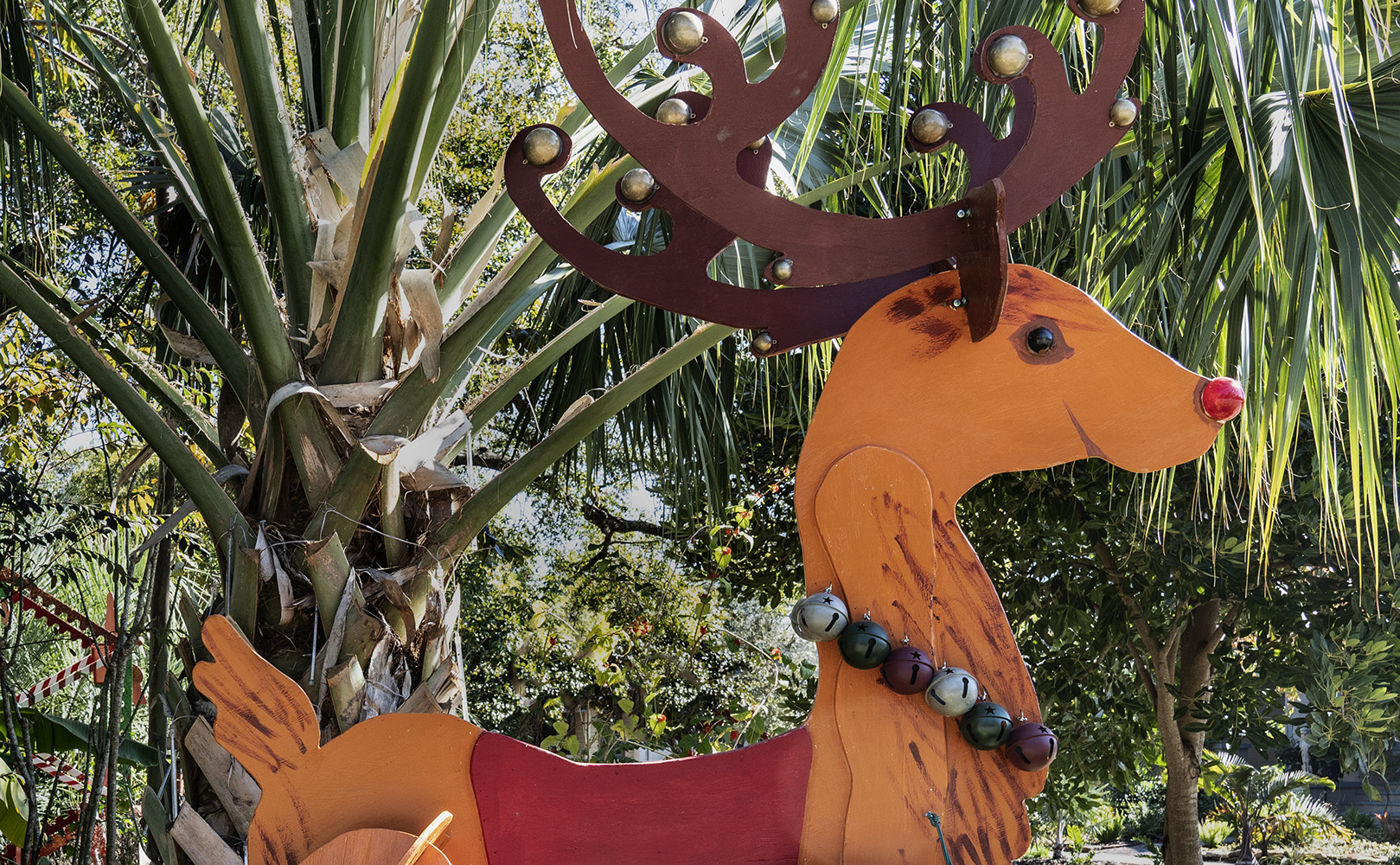 Smiley Raindeer