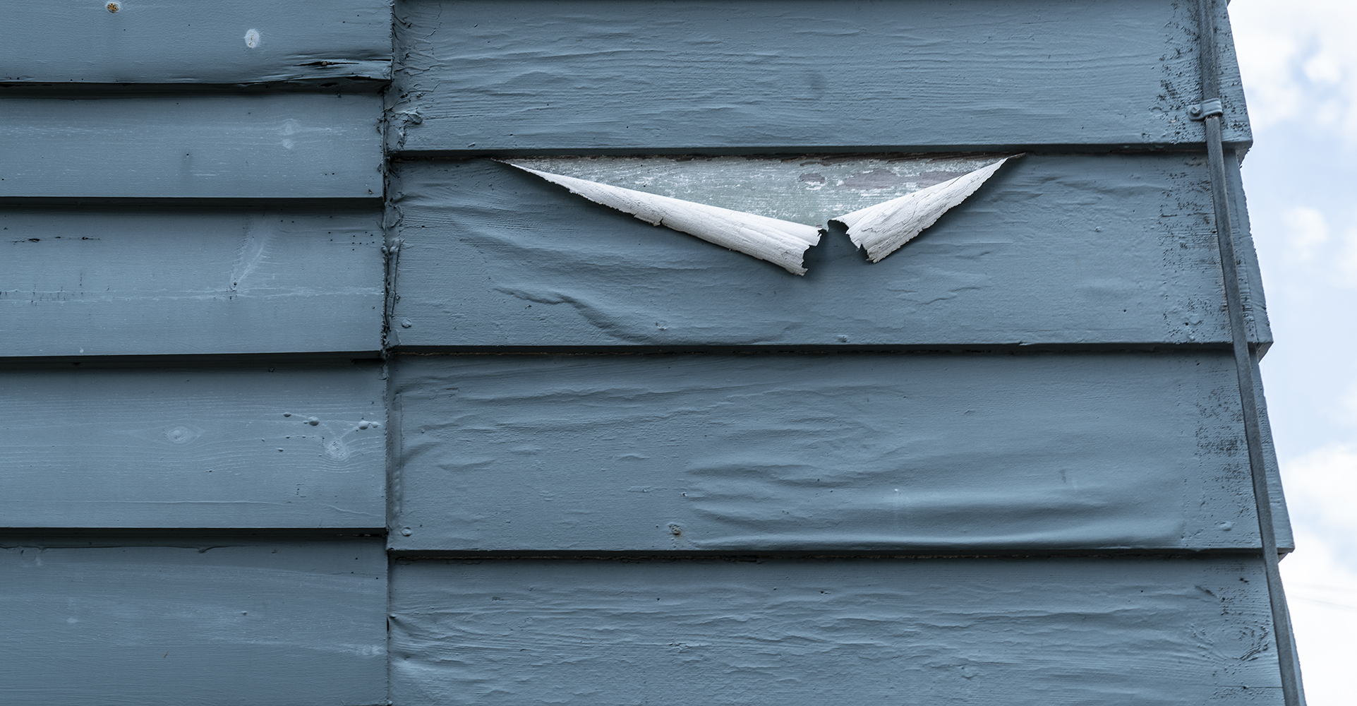 Watching Paint Peel