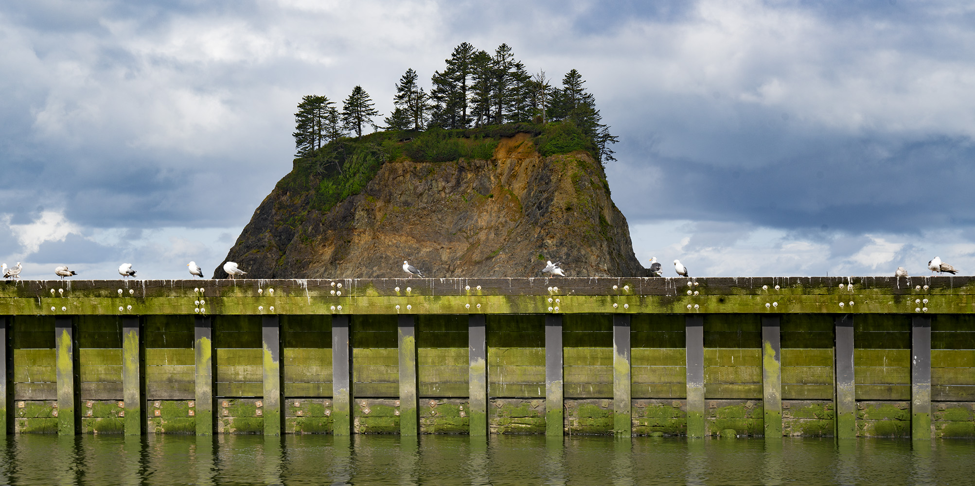 Perching Place