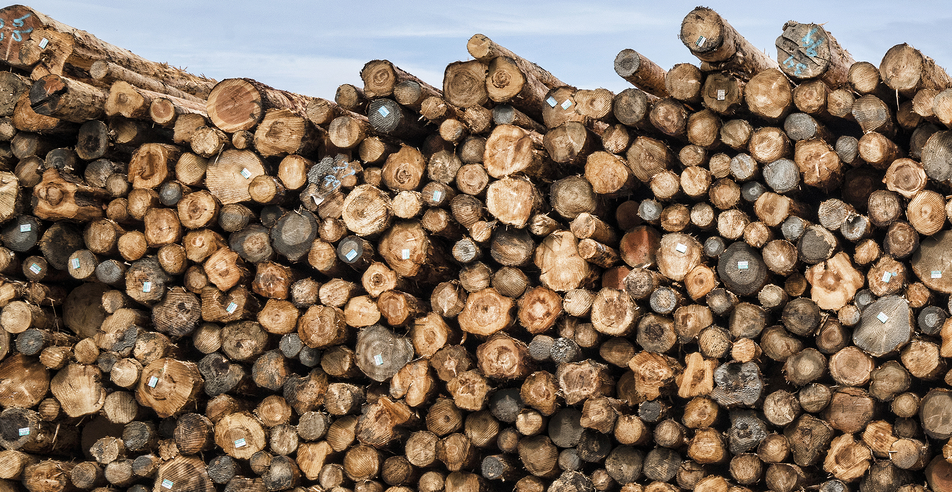 Logs