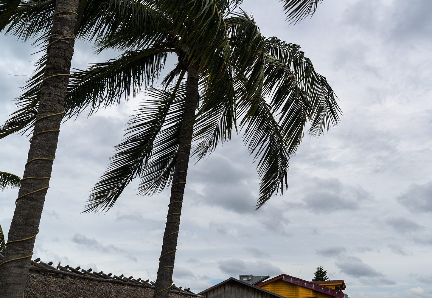 Weather 