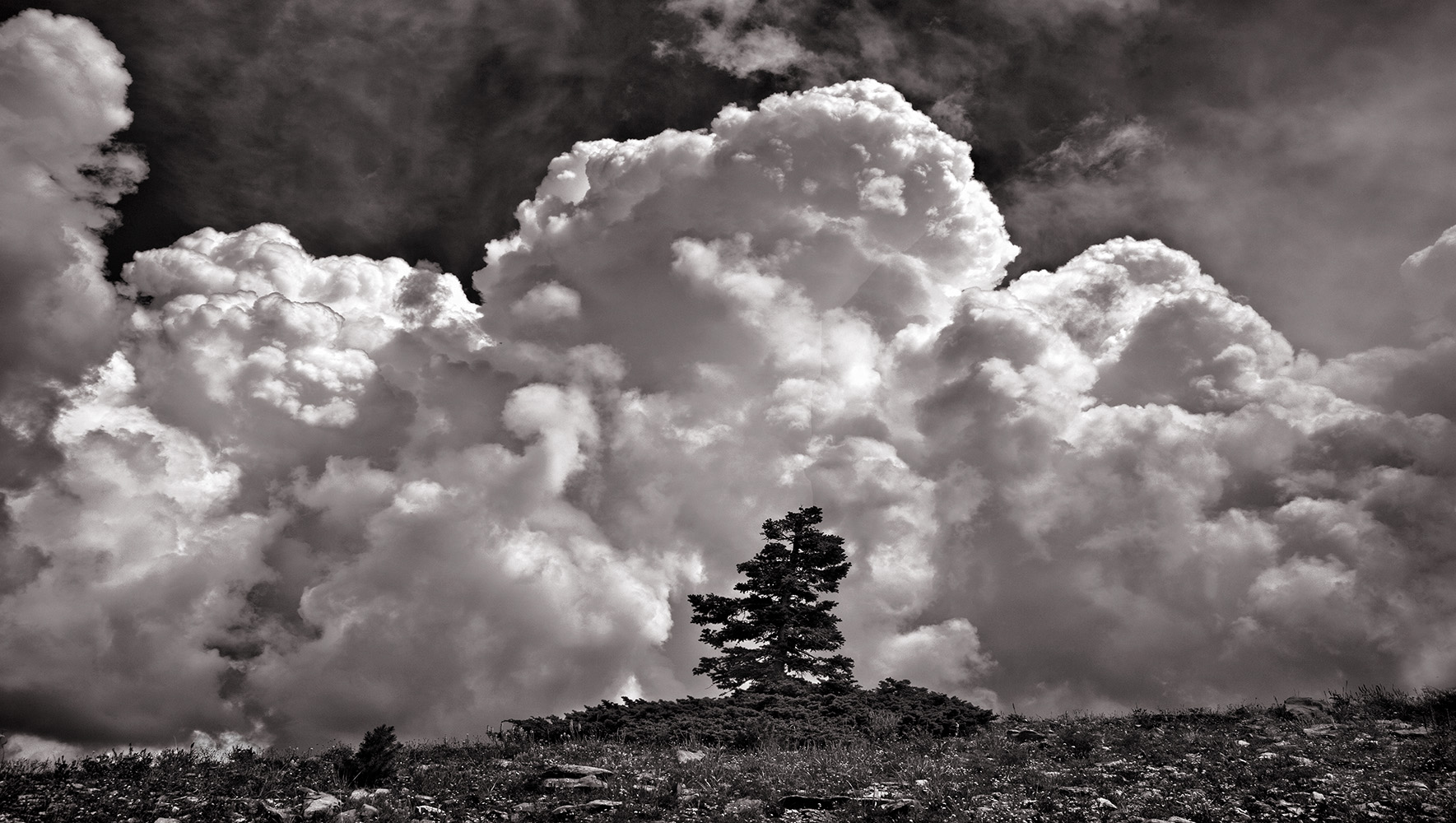 Thunderhead