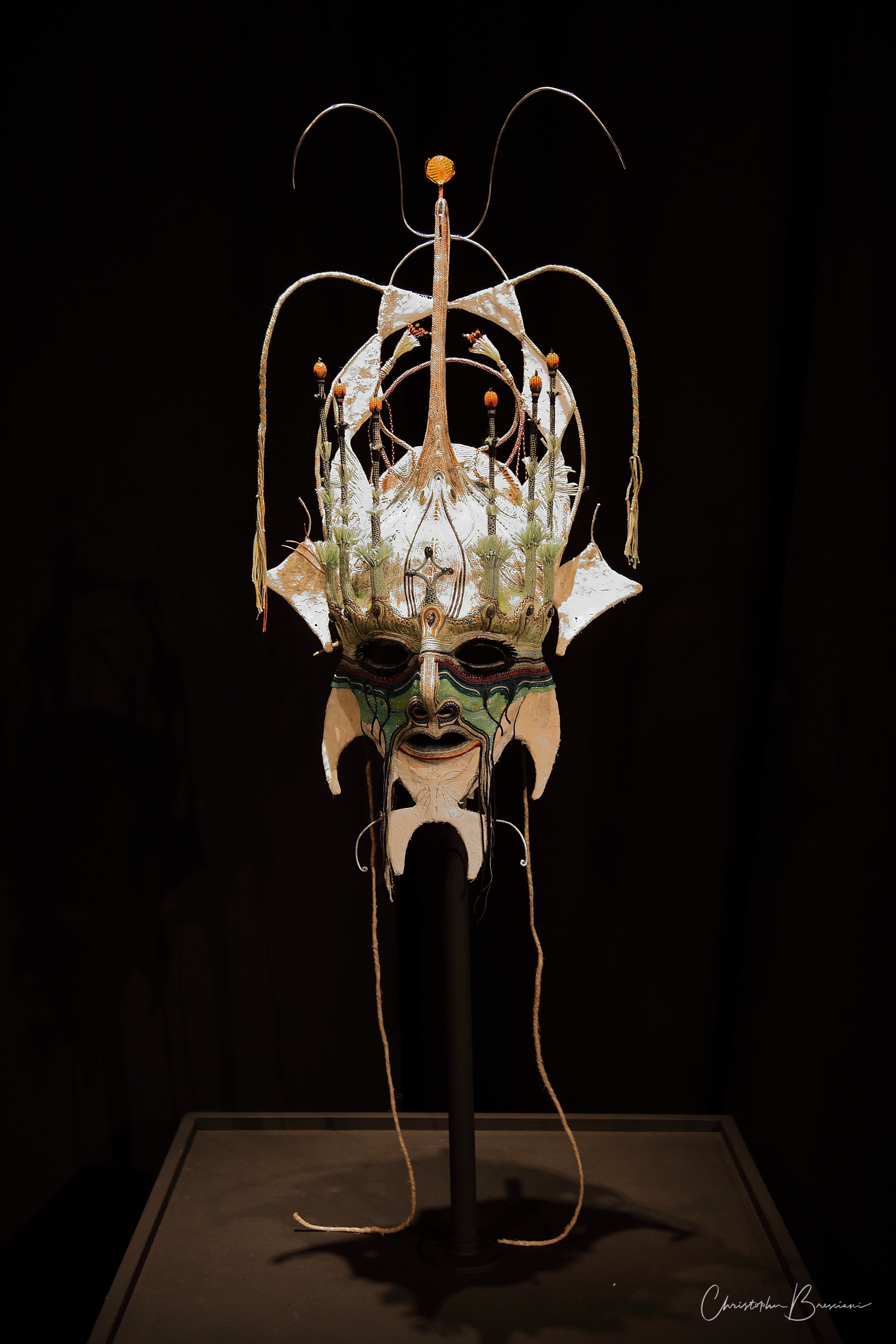 Mask1F