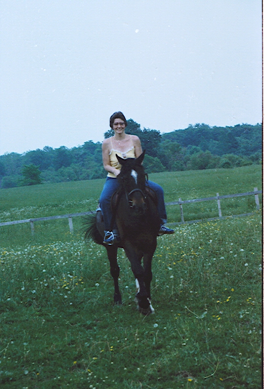 Horses0201.jpg