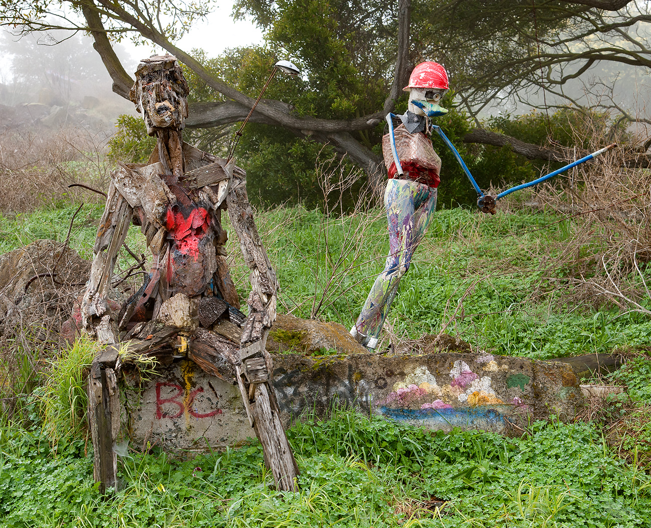 Albany Bulb 2011