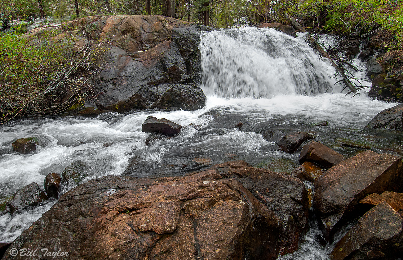 Lundy Creek 