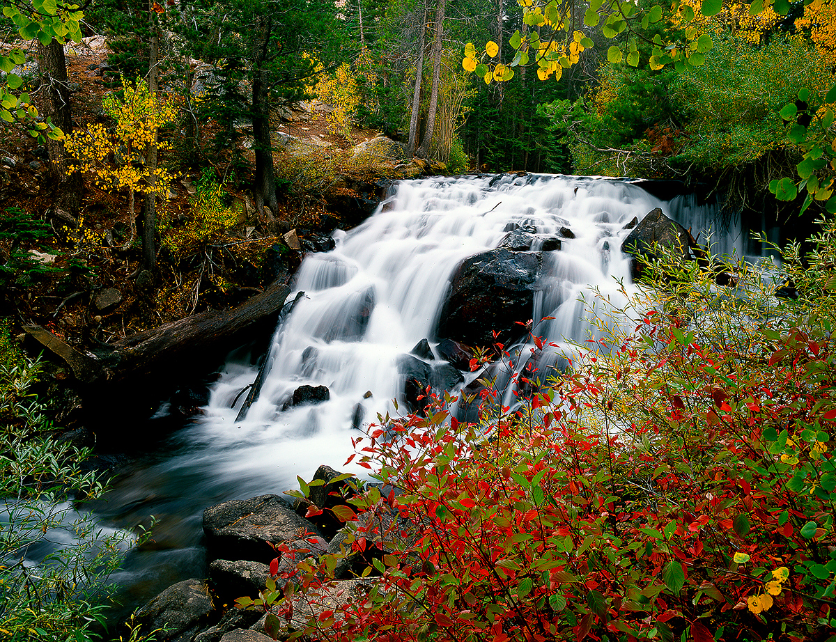 Lee Vining Canyon