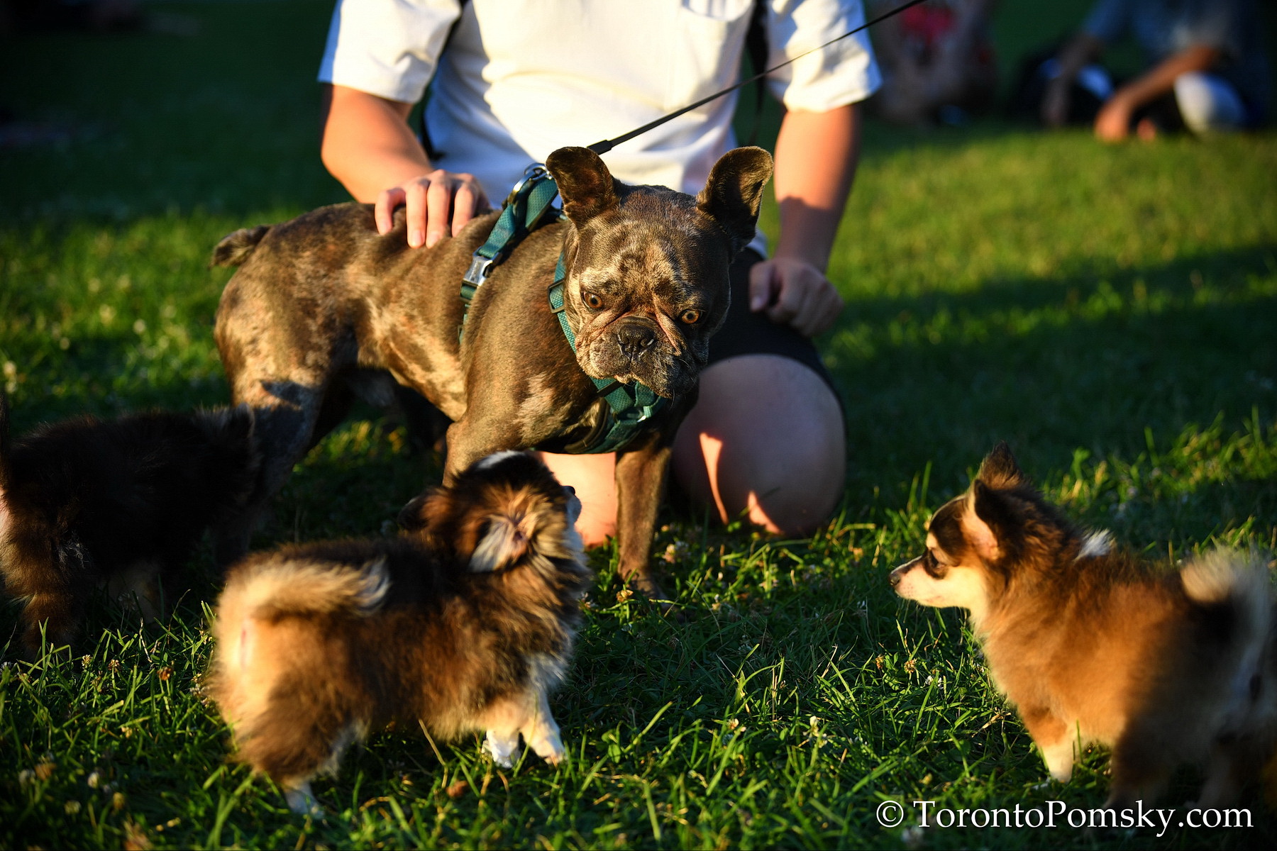 July14_19_098.JPG