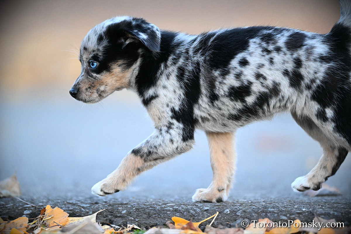 Nov26_22_385.JPG