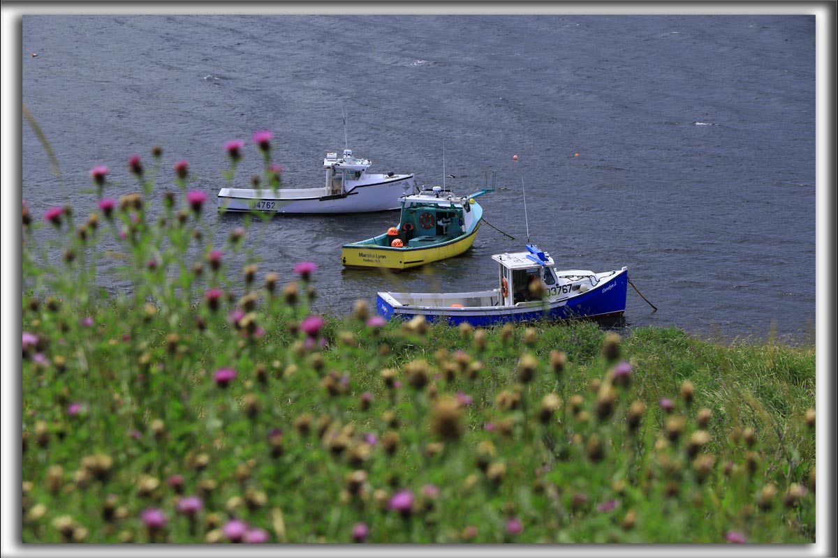 Sur la route de la CABOT TRAIL   /   ON THE CABOT TRAIL    _HP_9192a_a