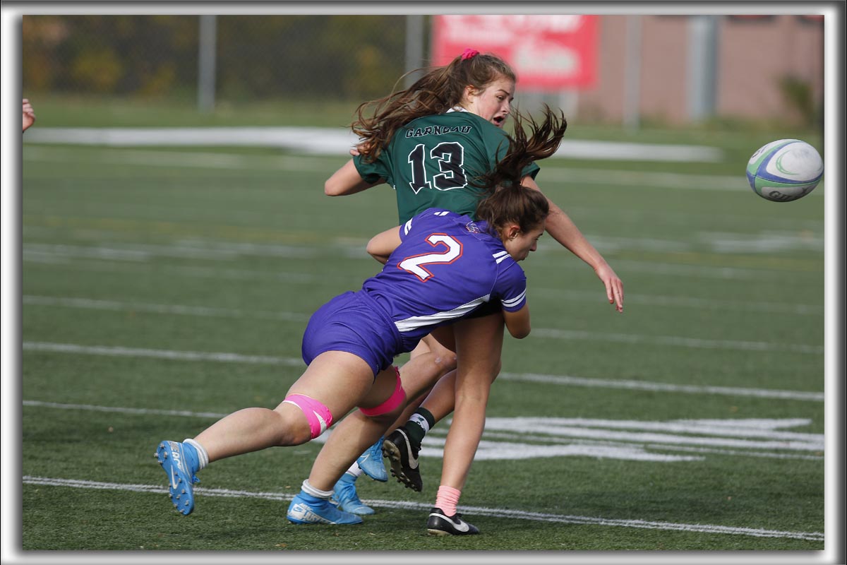 _HP_7986_copy_a_copy.jpg