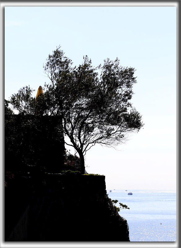 _P0A2871 b copy.jpg