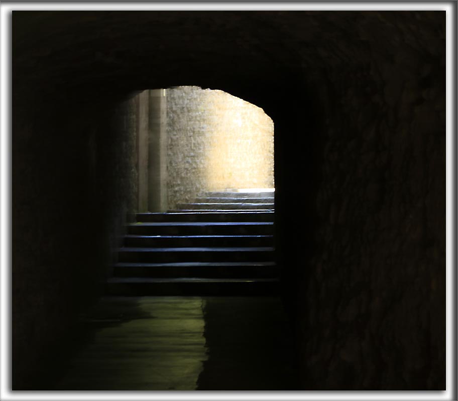 _P0A4316 copy.jpg