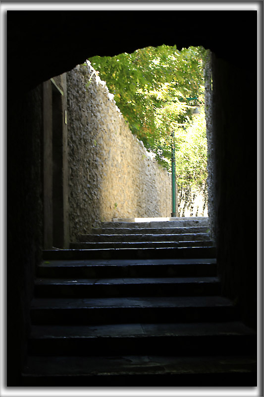 _P0A4317 copy.jpg