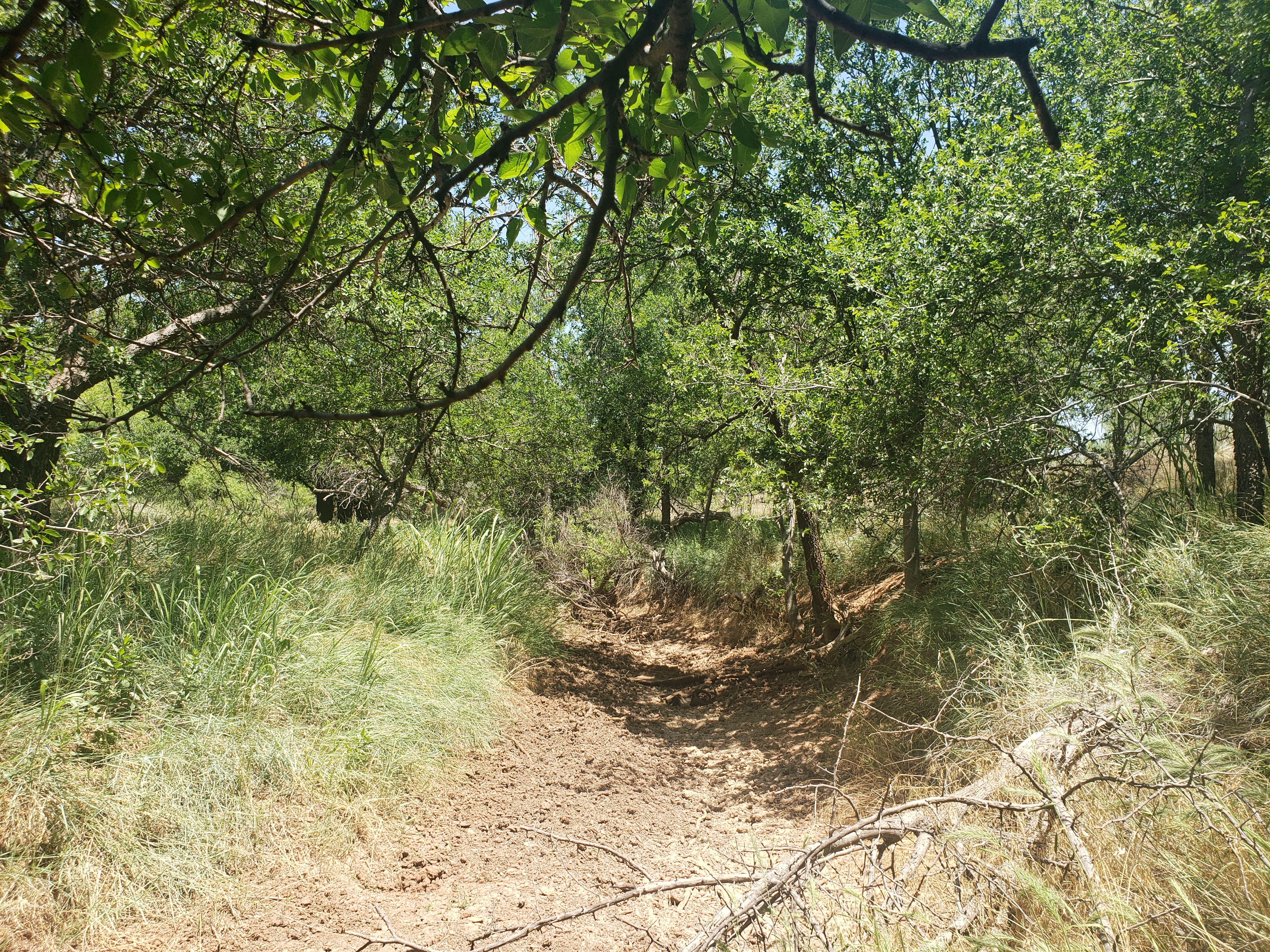 Dry Watercourse