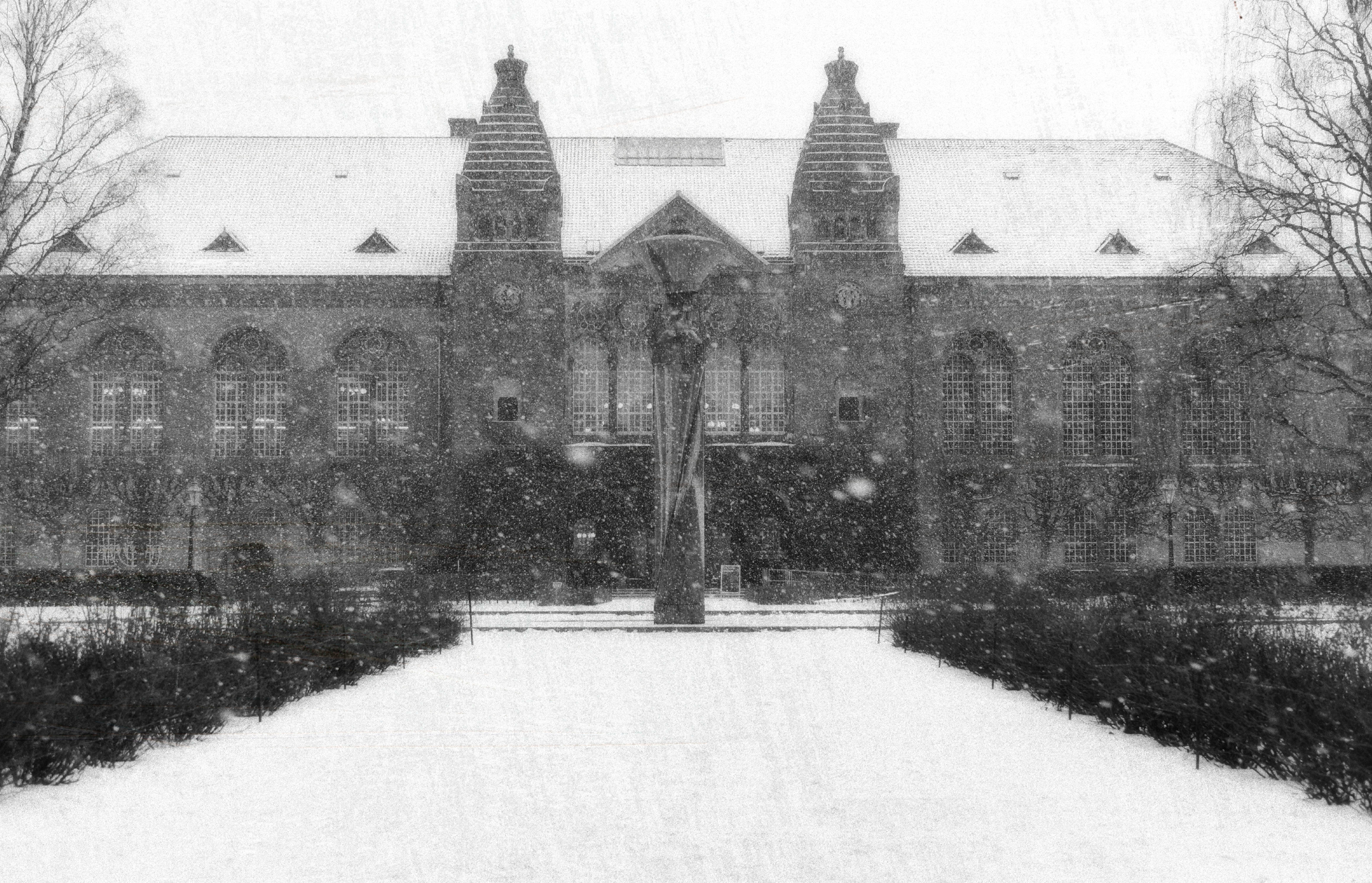Garden of the Royal Danish Library in Snowfall, Copenhagen, Winter, 2024