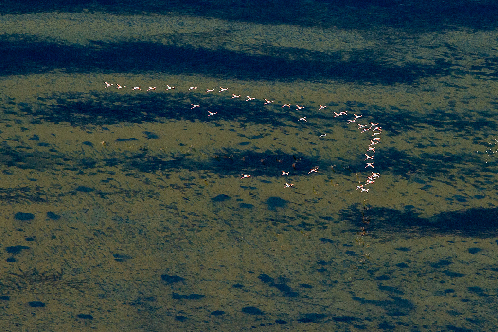 Le golfe de Boughrara