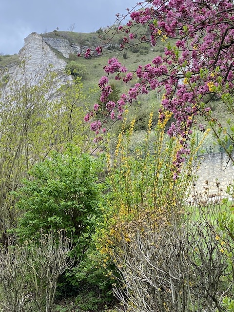 Le Normandy, France