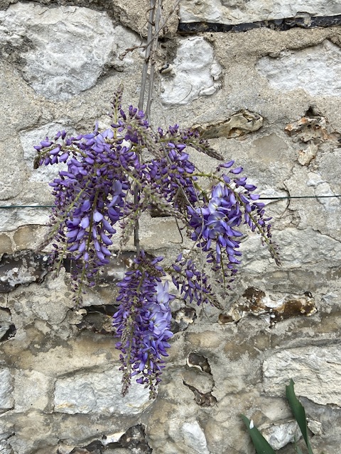 Le Normandy, France